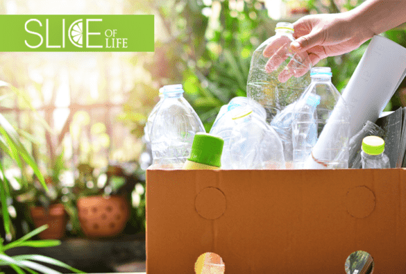 Slice Of Life Reducing Plastics