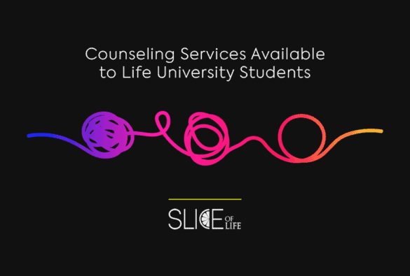 Slice Counseling Services March2