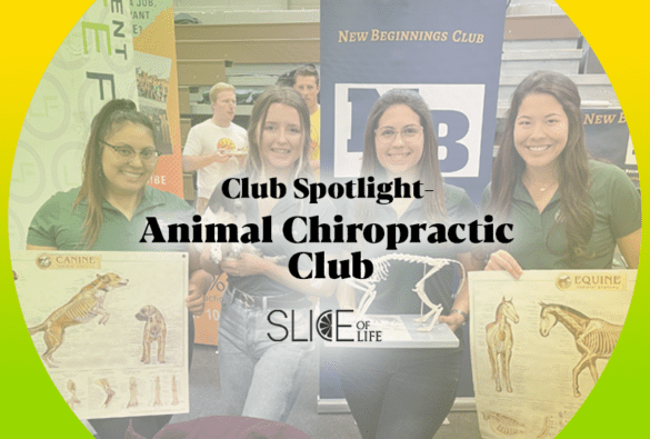 Slice Animal Chiro Club