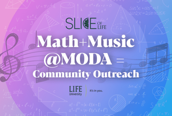 Slice Moda June13