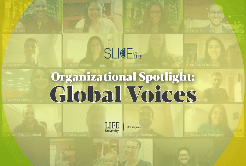 Organizational Spotlight: Global Voices