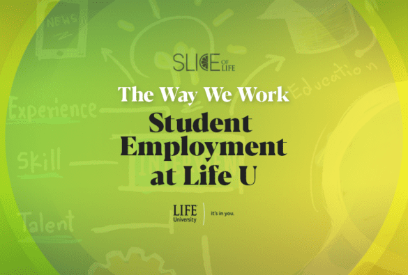 Slice student employment at life u