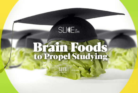 Slice Brain Foods 9 6 22