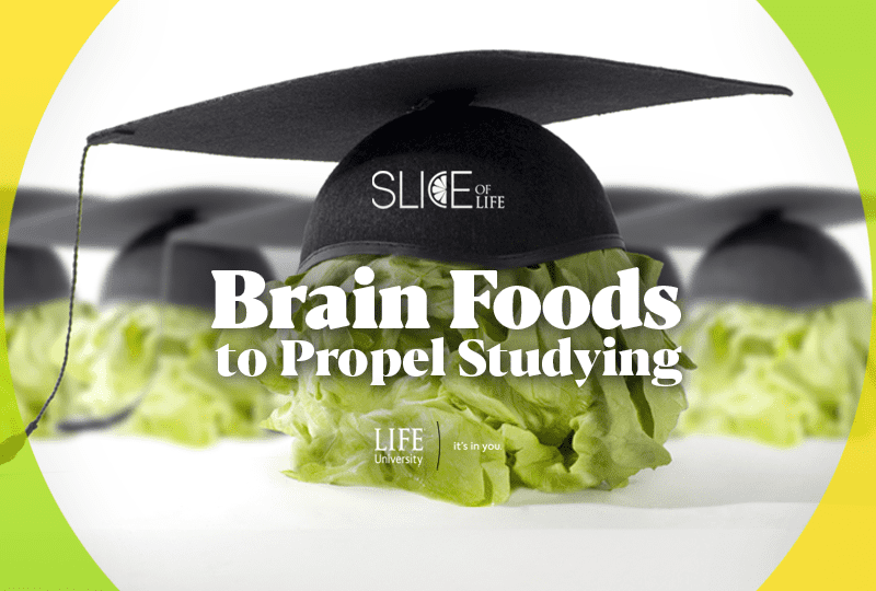 Brain Foods to Propel Studying