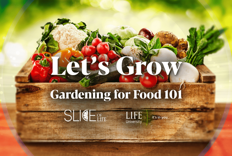 Let’s Grow- Gardening for Food 101
