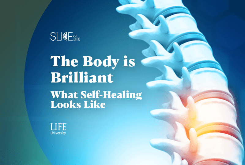 https://living.life.edu/wp-content/uploads/2022/12/slice-body-is-brilliant.png