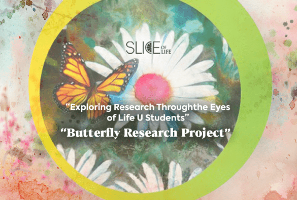Slice Butterfly Research Project 1 11 23