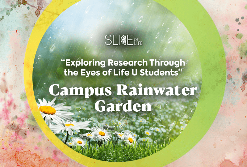 Campus Rainwater Garden