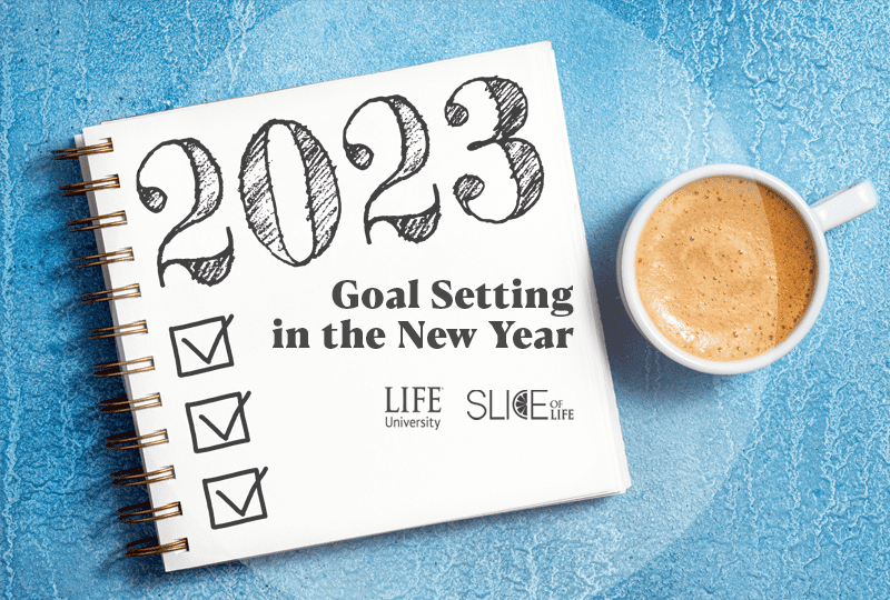 New to Goal Setting