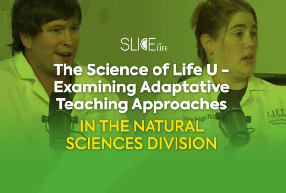 3Science-of-Life-tues-march-21--Slice-of-Life-SOL-TEMPLATE-Blog-post--copy[19]