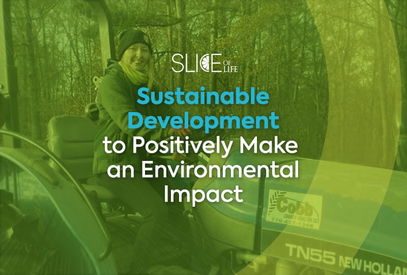 Sustainable Development to Positively Make an Environmental Impact- Research Series