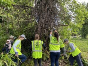 earth day service