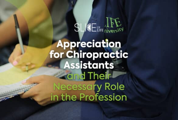 Appreciation For Chiropractic Assistants Slice Of Life Blog Post Template1l