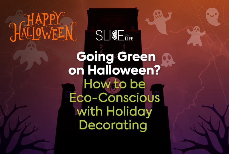 Going Green on Halloween? How to be Eco-Conscious with Holiday Decorating