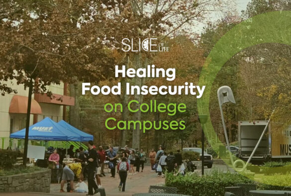 Food Insecurity Slice Of Life Blog Post Template1l