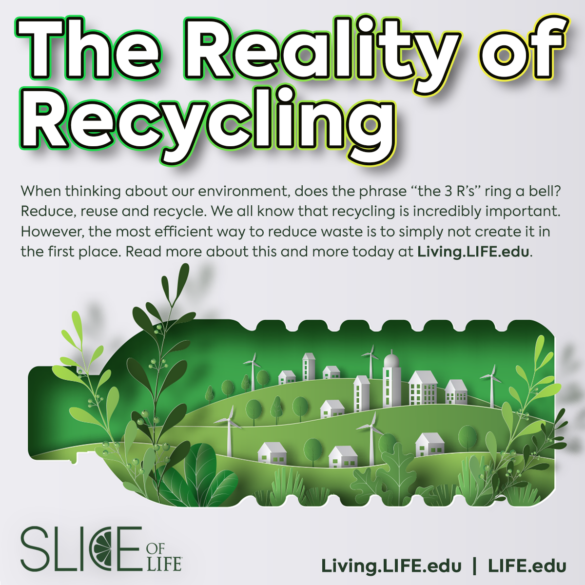 Social Slice Reality Of Recycling