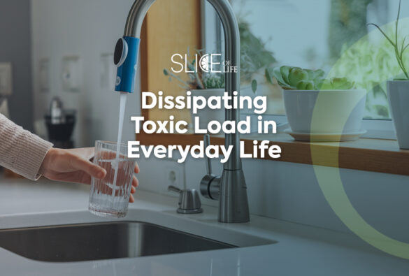 Toxic Load Slice Of Life Blog Post Template Life U