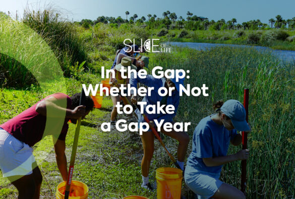 Gap year slice of life blog post template life u