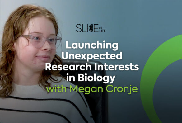 Megan large slice of life blog post template life u