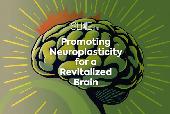 Neuroplasticity slice of life blog post template life u