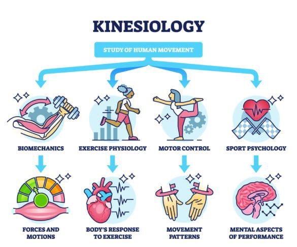 Kinesiology graphic