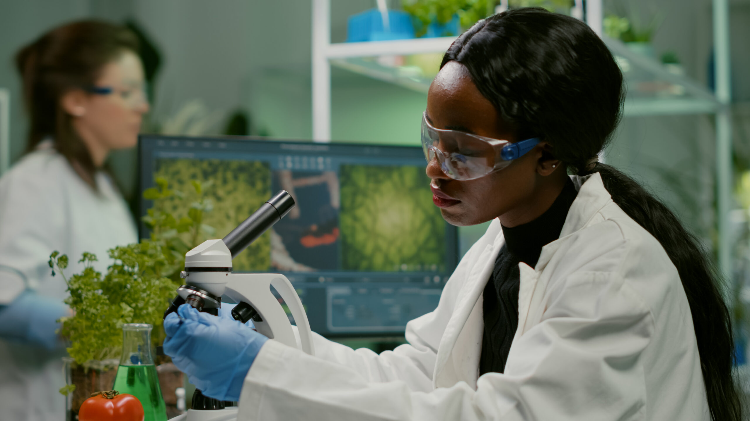 WHAT CAN YOU DO WITH A BIOLOGY DEGREE?